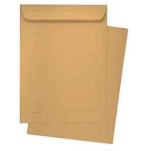 Brown Envelope A4 100g | 500 Pc